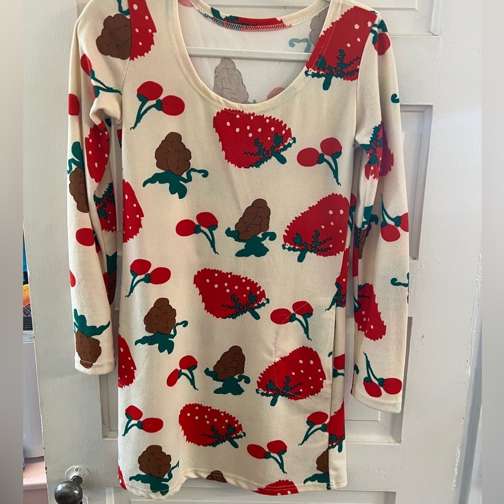 Free People Sample sweater dress tunic